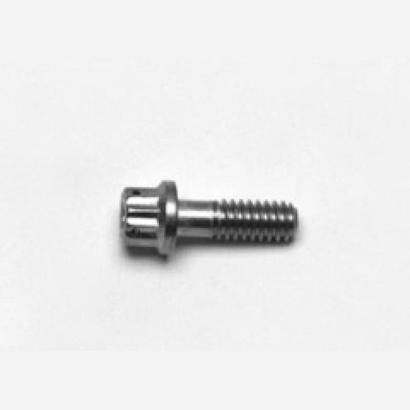 Wilwood 12-point stainless steel rotor bolt with 1/4-20 thread and 0.75 inch length